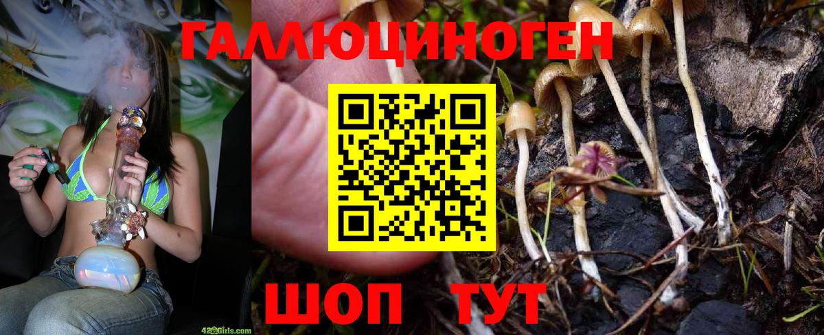 Псилоцибиновые грибы ЛСД  Галлюциногенные грибы Cubensis  Вход с VPN  хочу наркоту  Краснодар 